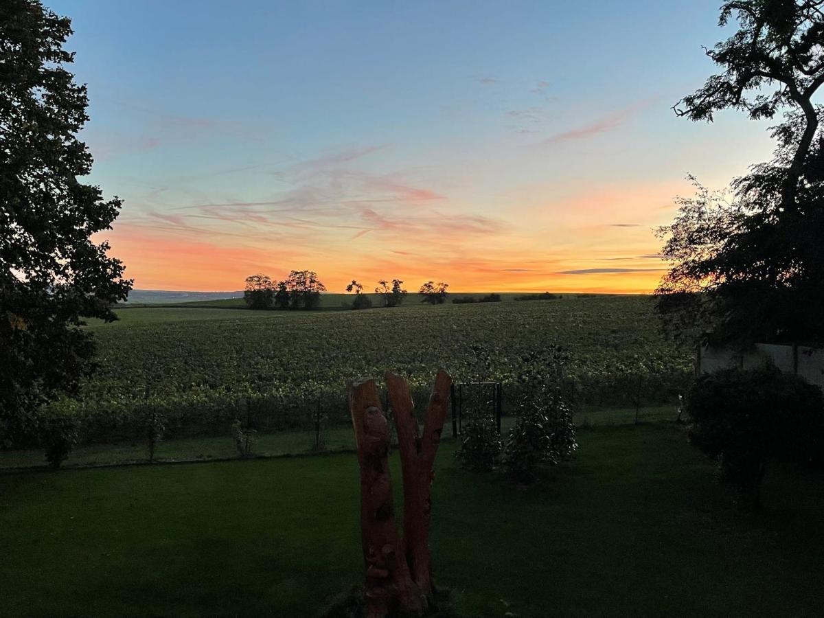 Best View, Pool And Spa On The Champagne Vineyard Saint-Thierry Exteriér fotografie