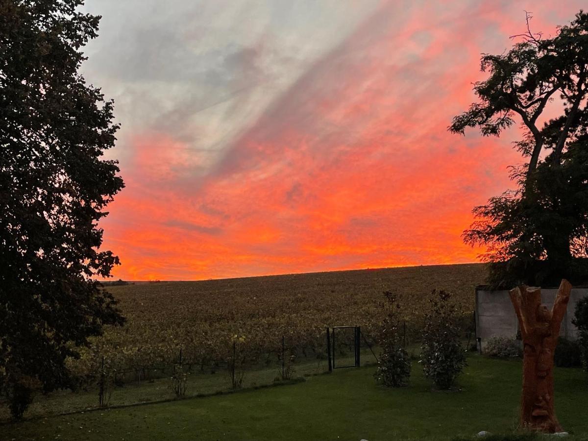 Best View, Pool And Spa On The Champagne Vineyard Saint-Thierry Exteriér fotografie
