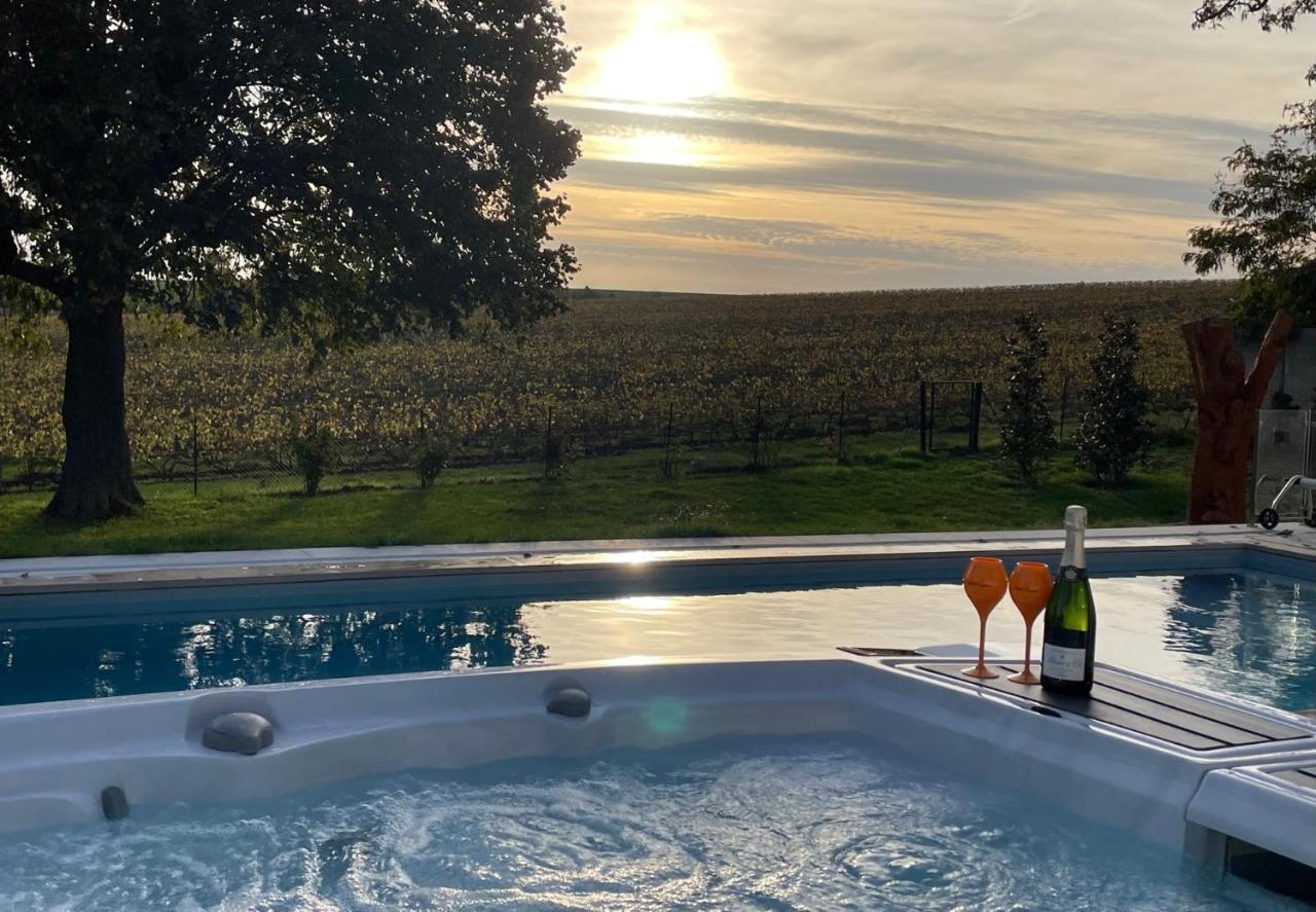 Best View, Pool And Spa On The Champagne Vineyard Saint-Thierry Exteriér fotografie