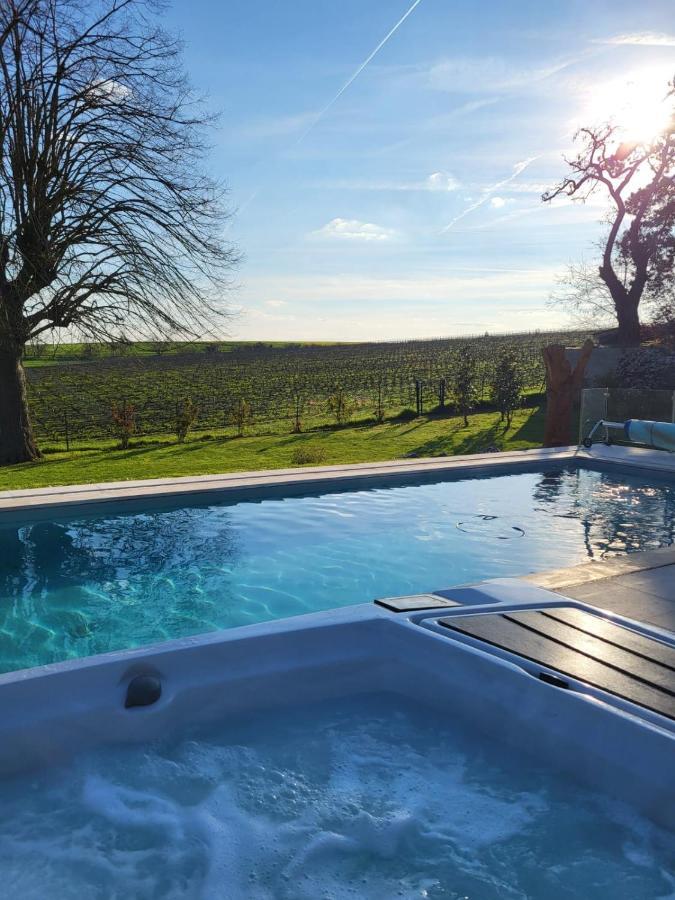 Best View, Pool And Spa On The Champagne Vineyard Saint-Thierry Exteriér fotografie